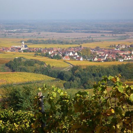 Hotel A La Vignette - Colmar-Nord Сен-Иполит Екстериор снимка